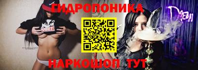 2c-b Новодвинск