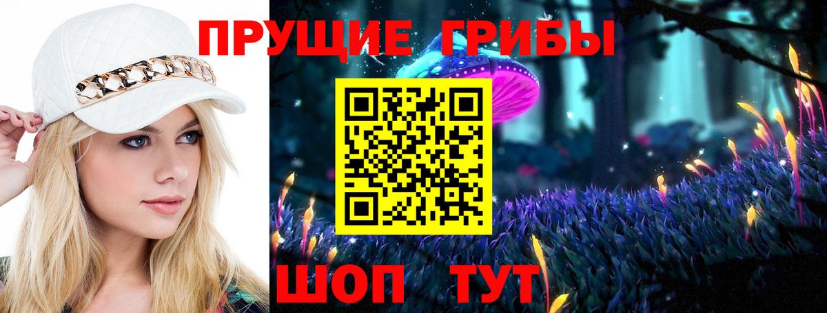 дарнет шоп  Вход с VPN  Ставрополь  Галлюциногенные грибы мицелий 