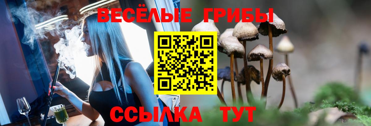 Галлюциногенные грибы MAGIC MUSHROOMS Ставрополь